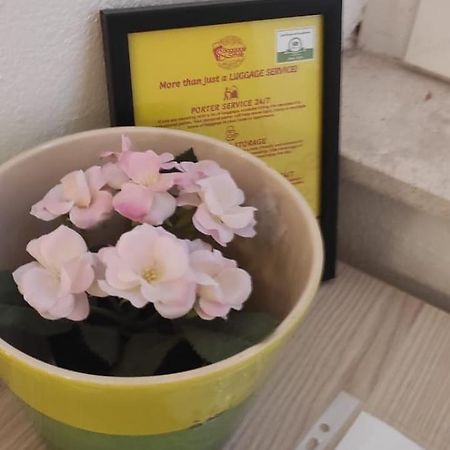 Simply Dubrovnik Nikole Bozidarevica 2 A B C D Apartment Ngoại thất bức ảnh