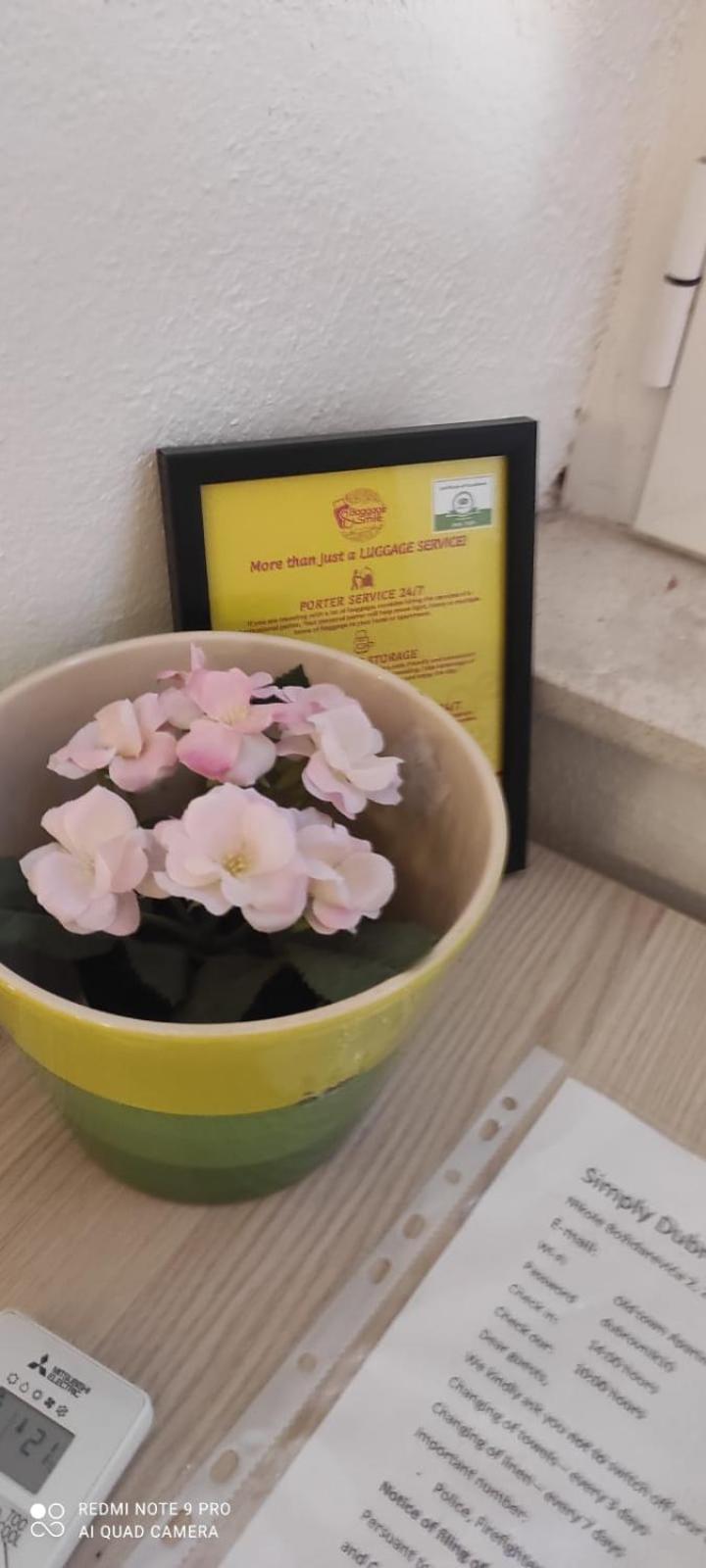 Simply Dubrovnik Nikole Bozidarevica 2 A B C D Apartment Ngoại thất bức ảnh